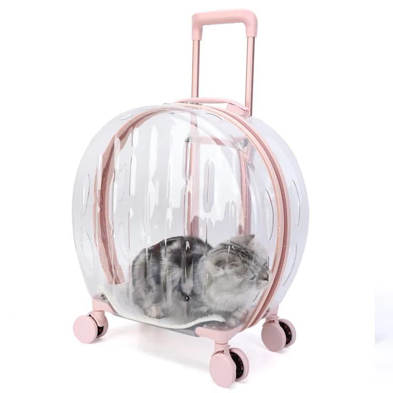 Borsa per cani per gatti da compagnia Trolley Box Trasporti portatili trasparenti e traspiranti Borse da viaggio Valigia portatile per cani Gatti in uscita