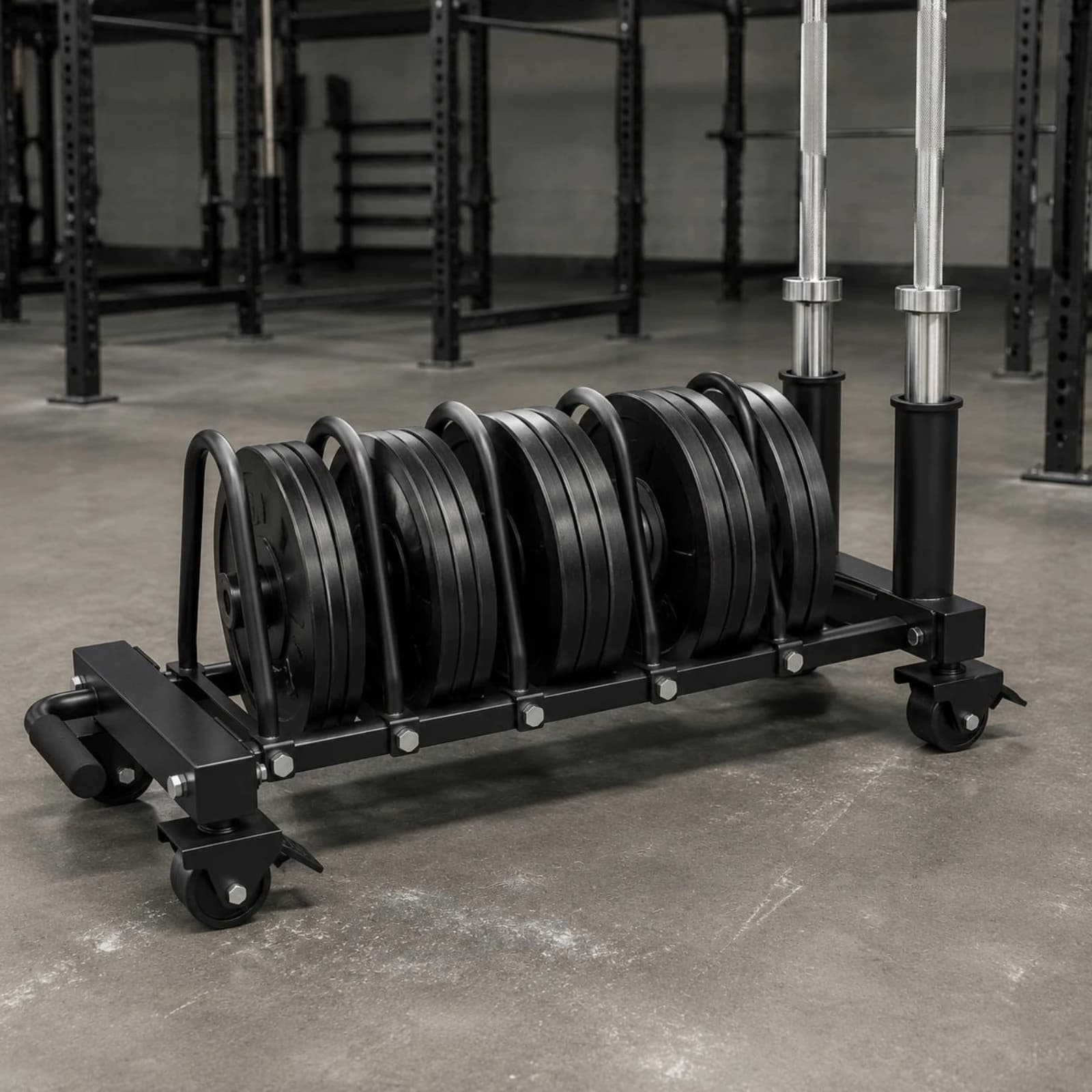 Weight Plate Storage Rack Matte Finish Plate Storage Trolley Barbell Holder Trolley Black Metal Mobile for Gym