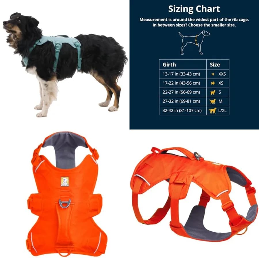 Web Master, Imbracatura Multiuso per Cani, per Escursionismo e Trail Running, Servizio e Lavoro, Uso Quotidiano