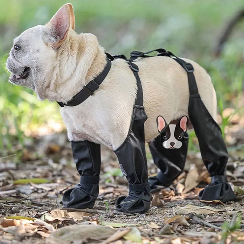 Scarpe per cani stivali per cani regolabili impermeabili Rain Day forniture per animali domestici scarpe per cani passeggiate all'aperto morbide zampe Bulldog francesi proteggono