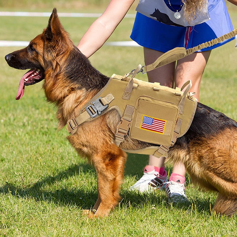 Military Tactical Dog Harness Set With Collar and Leash Heavy‑Duty MOLLE Training Vest For Large Dogs Outdoor Working Pet Suppli