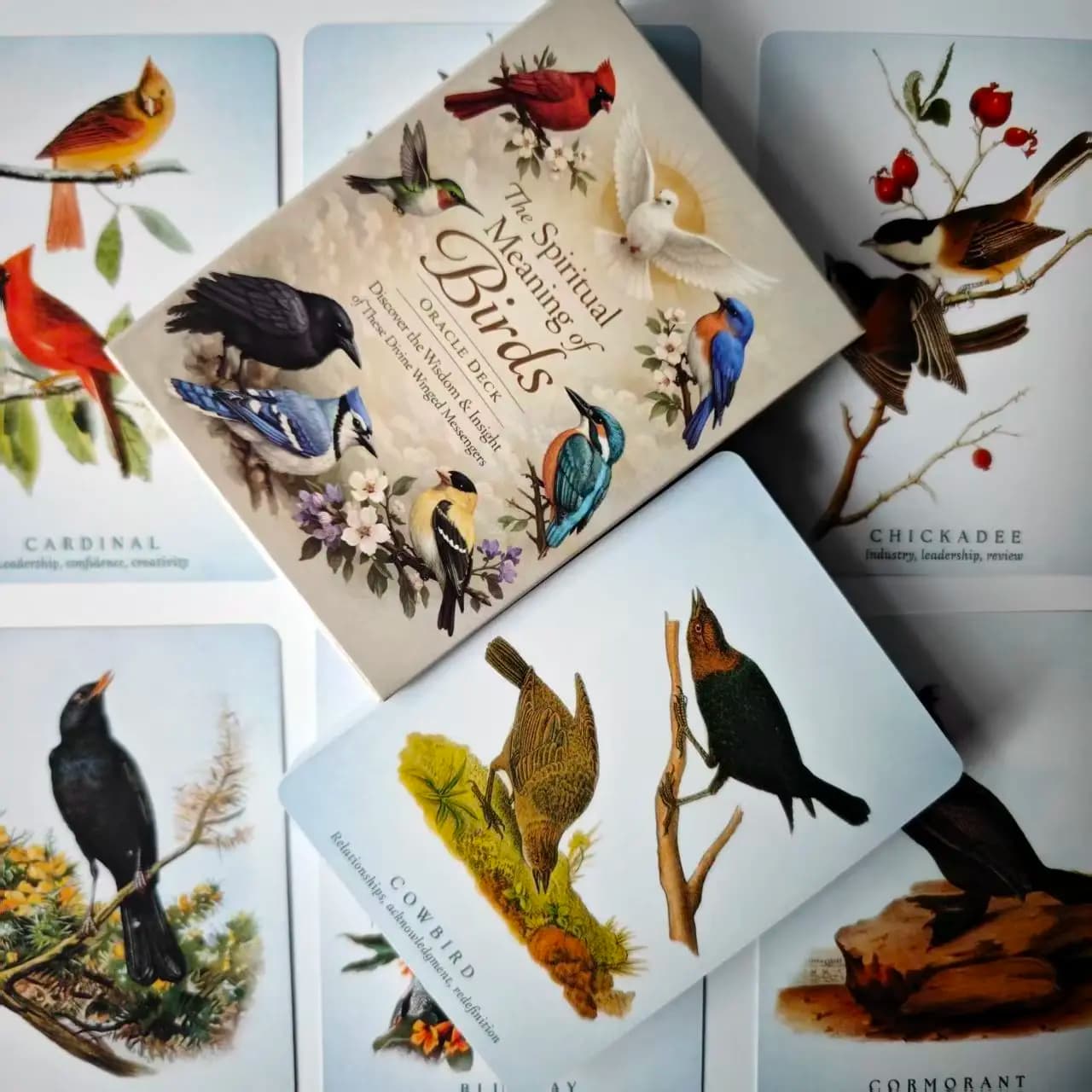 The Spiritual Meaning of Birds Oracle Deck, 50 Pcs Nature-Inspired Fortune Telling Cards for Insight & Wisdom 10.5*7.5cm