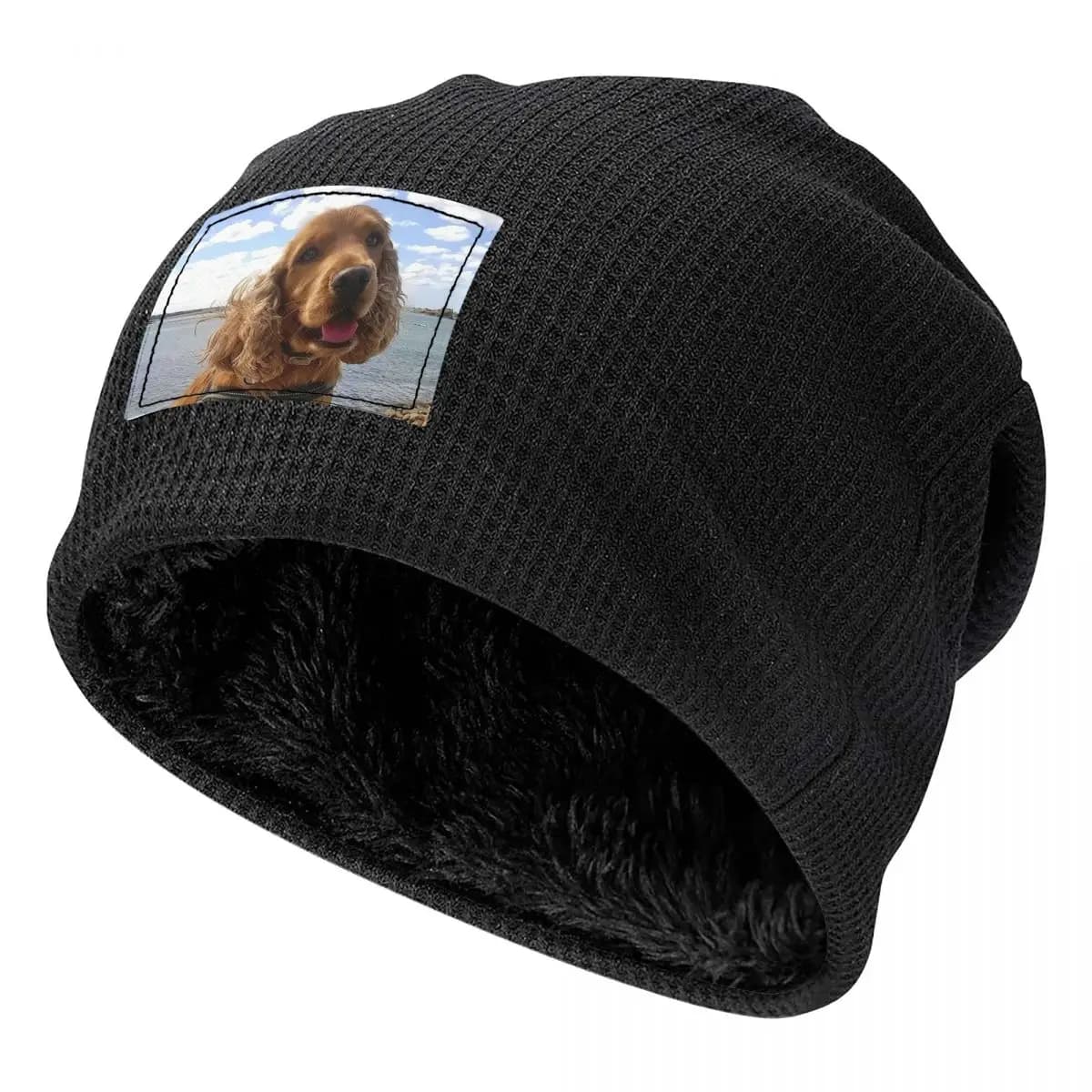 Divertente Cool Cocker Spaniel Cane Animale Uomo Donna Berretti per adulti Berretti Foderato in pile Cappello a cuffia Caldo Autunno Inverno Skullies Cappelli