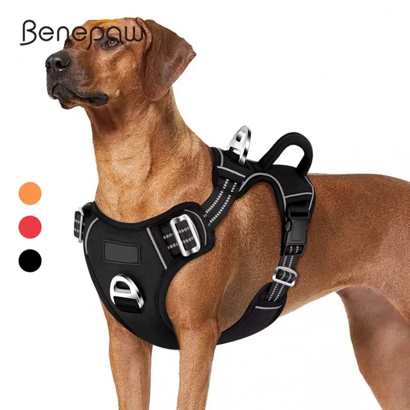 Benepaw Pettorina per cani senza tiraggio Maniglia di facile controllo Pettorina per animali riflettente 2 clip per guinzaglio Gilet per cani imbottito morbido regolabile