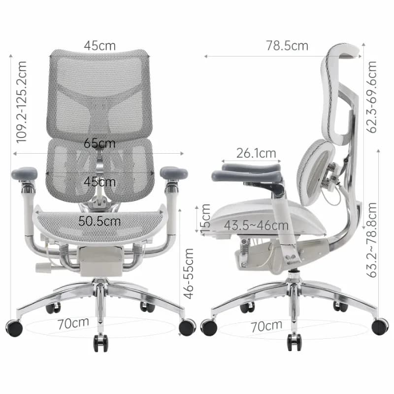 Sedia da ufficio ergonomica SIHOO Doro S300, sedia da gaming, sedia per computer con doppio supporto lombare, braccioli 6D, rete regolabile e rotelle.