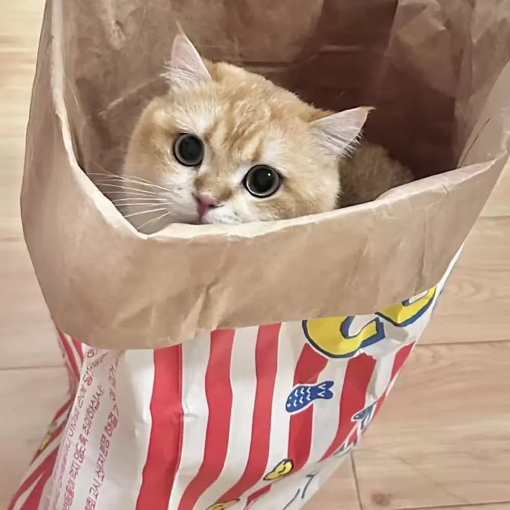 Simpatico sacchetto di carta per popcorn di decompressione Nascondere cibo da masticare Giocattolo per animali domestici Puzzle sonoro Sacchetto di carta Kraft per cani e gatti