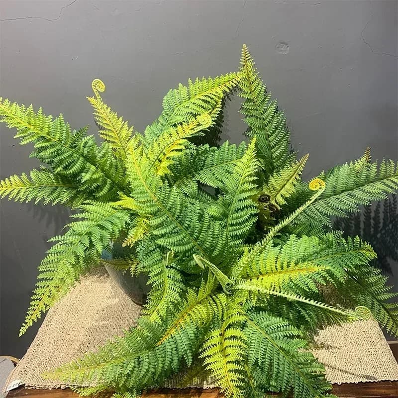 56cm Large Artificial Flower Boston Sweat Plastic Sweater Green Plants Fake Mestiere False Sheet Wedding Garden House Decoration