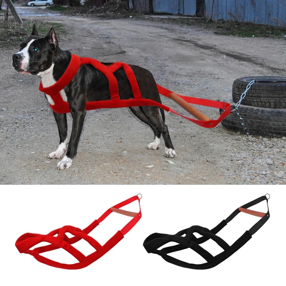 Dog Harness Sled Harness for Medium Large Dogs Durable Agility Training Pet Harness for Outdoor Working