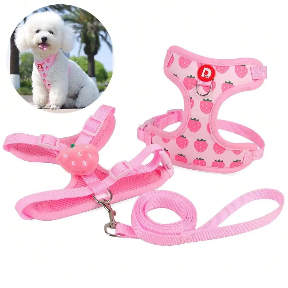 Cute Pet Harness And Leash Set For Small Dogs, Anti-Escape Cat Leash, Adjustable Cat Vest, All Seasons Suitable For Outdoor Walking