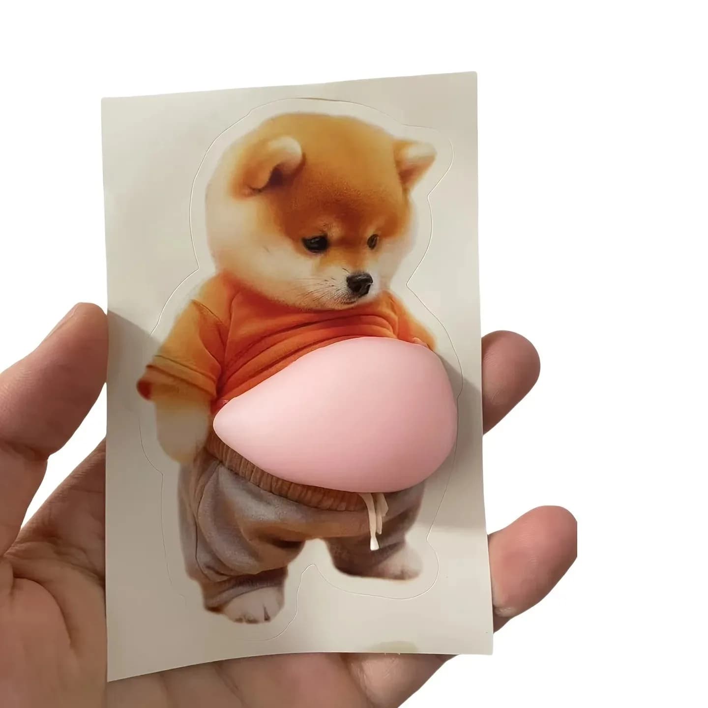 3D Wall decal for dog belly Shiba Inu - Cute puppy with orange dress and soft pink background, silicone sticker