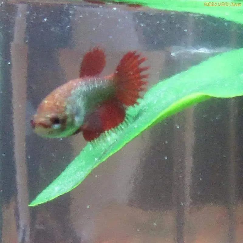 K1AE Plant Fish Bed for Fish Tanks Aquariums Decorations Beautiful Appearance Artificial Hideouts Fish Cave