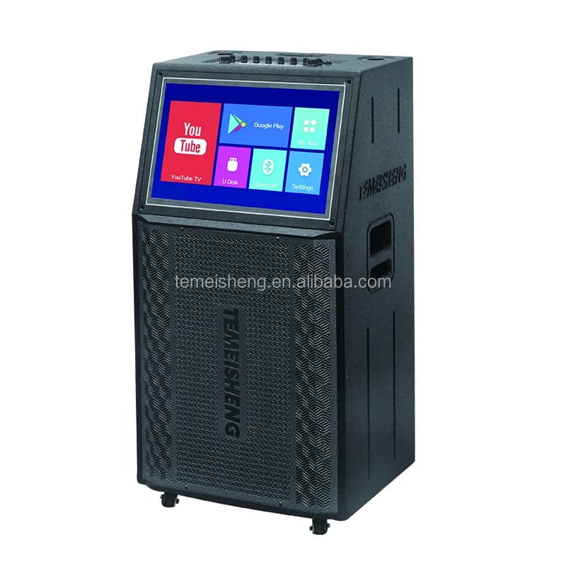 Macchina per karaoke da 15 pollici con touch screen per adulti con 2 microfoni UHF per feste di canto