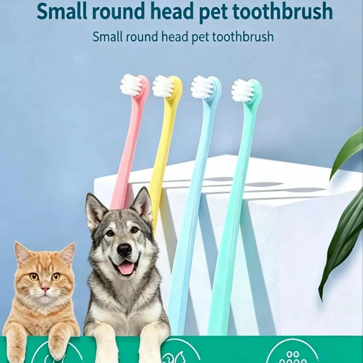 Spazzolino per animali domestici a testina piccola – Pulizia dei denti per cani e gatti, strumento per l'igiene orale, accessori per la toelettatura di animali domestici per Teddy, Bichon, Shiba