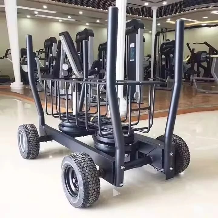 Fitness Gym Equipment: Slitting with Weights for Spin and Traction, Resistance Cart with Weighted Plates