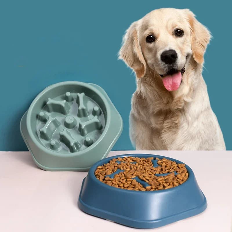 Ciotola Antigelo per Animali Domestici, Ciotola Lenta per Alimenti in PP, Piatto per Cani da Casa, Forniture per l'Alimentazione Anti-ingozzamento