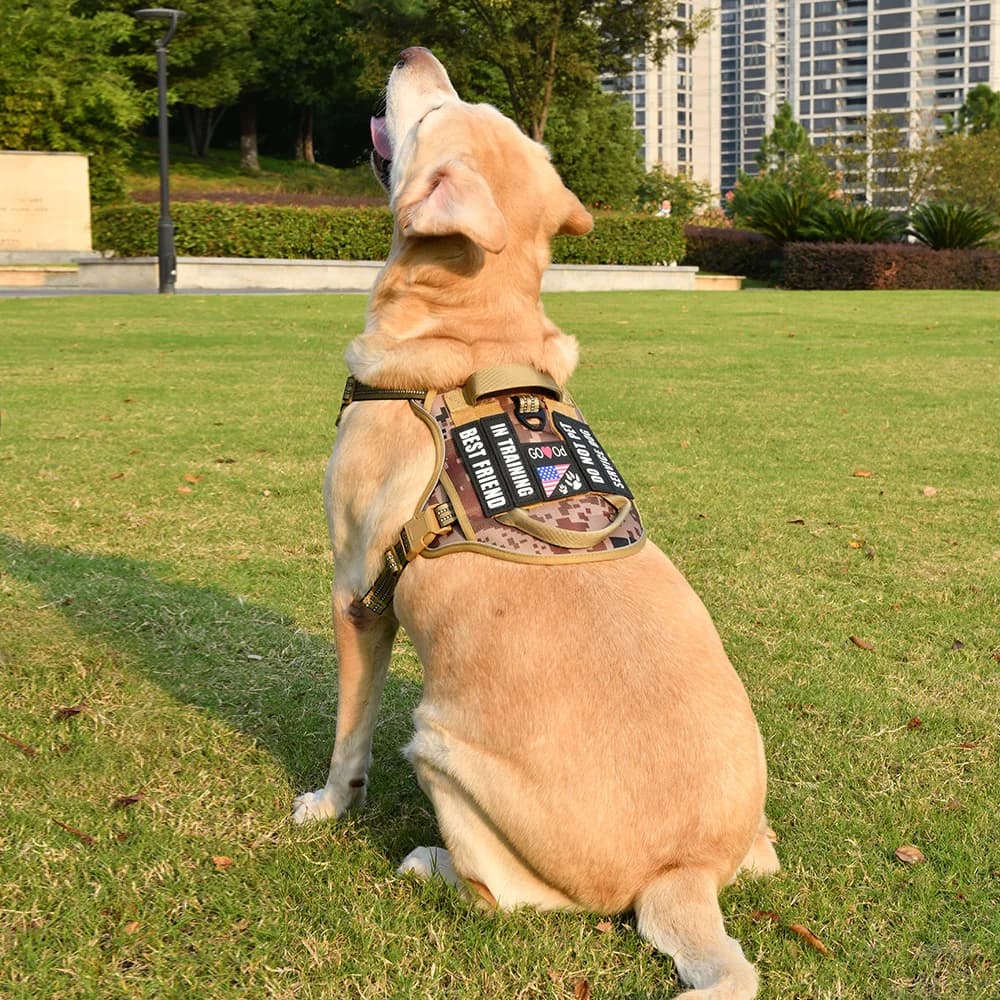 Pettorina tattica riflettente per cani Pettorina per cani da compagnia con 5 toppe per cani Pettorina per animali domestici senza tirare con impugnatura imbottita morbida e durevole