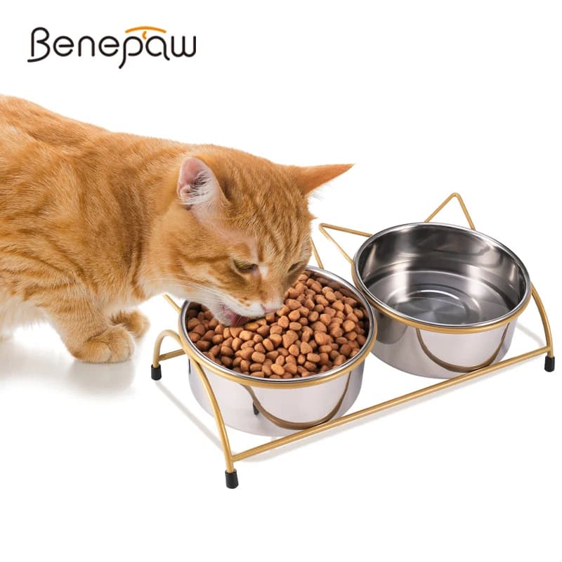 Benepaw ciotole per gatti doppie rialzate in acciaio inossidabile inclinate rialzate Kitten Food Water Bowl Stand Anti vomito piatti per l'alimentazione degli animali domestici