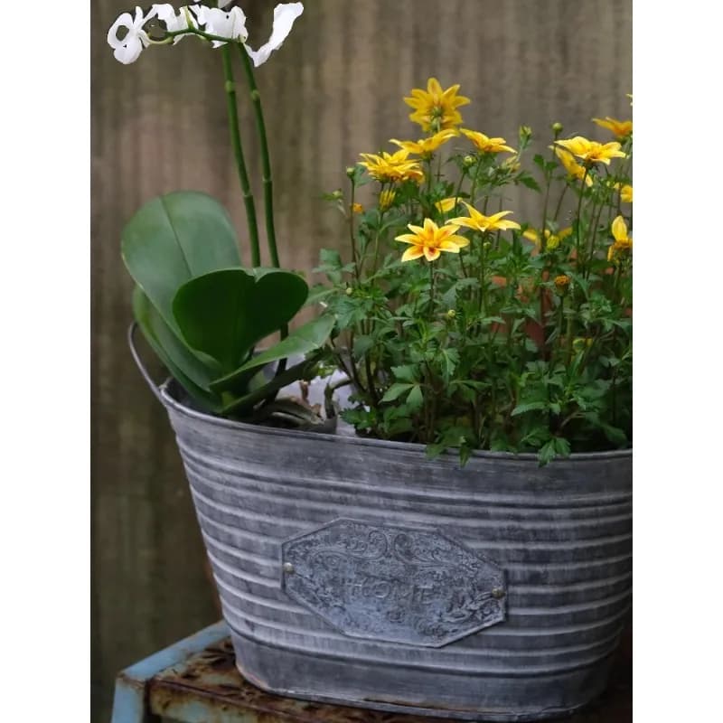 Milk bucket pot from flowers grocery ball semi bucket of flowers balcony courtyard grocery garden decorative ornament