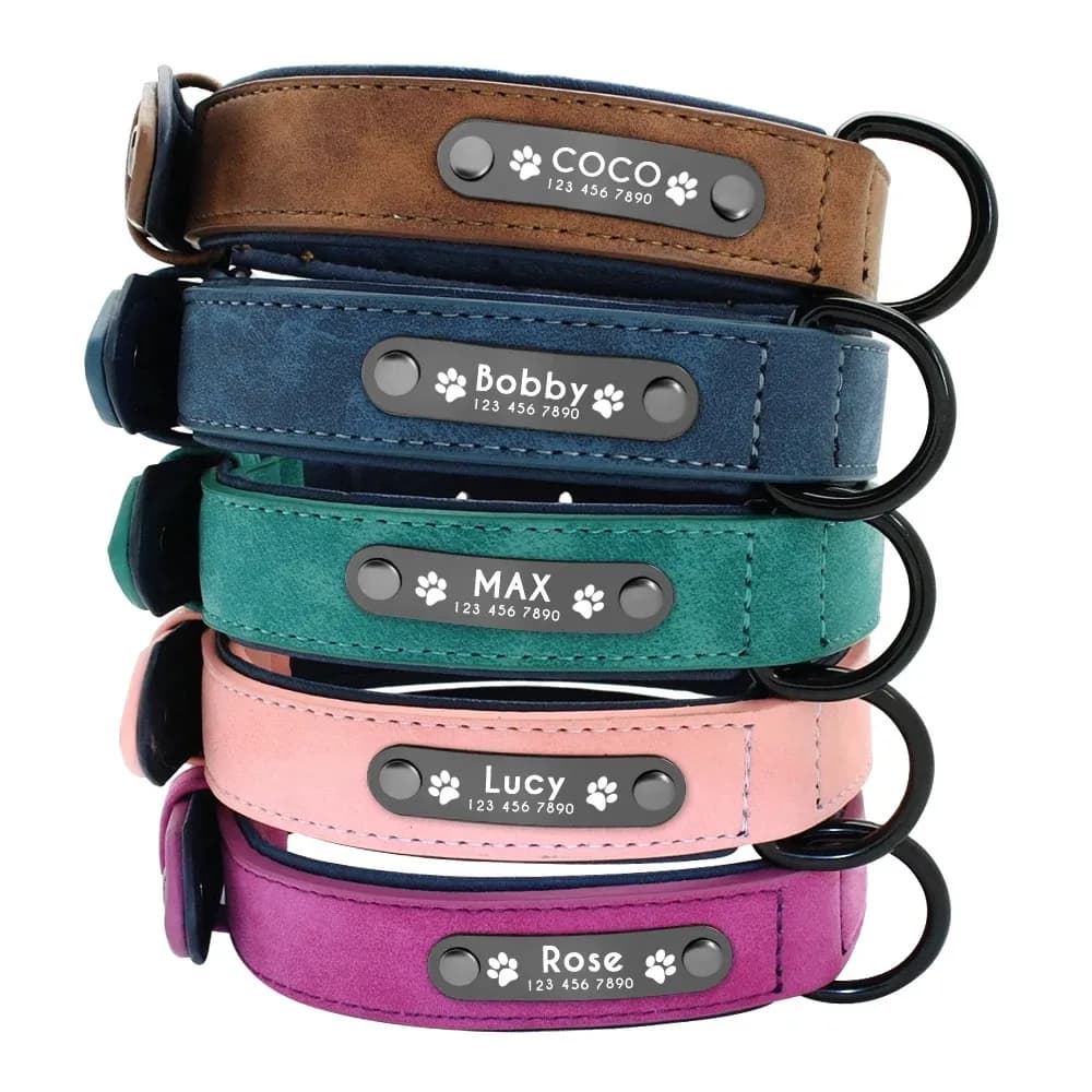 Etichette identificative con nome personalizzato Collari per cani Nome testo personalizzato Collare per cani in pelle per cani di taglia piccola, media e grande Pitbull Bulldog Beagle