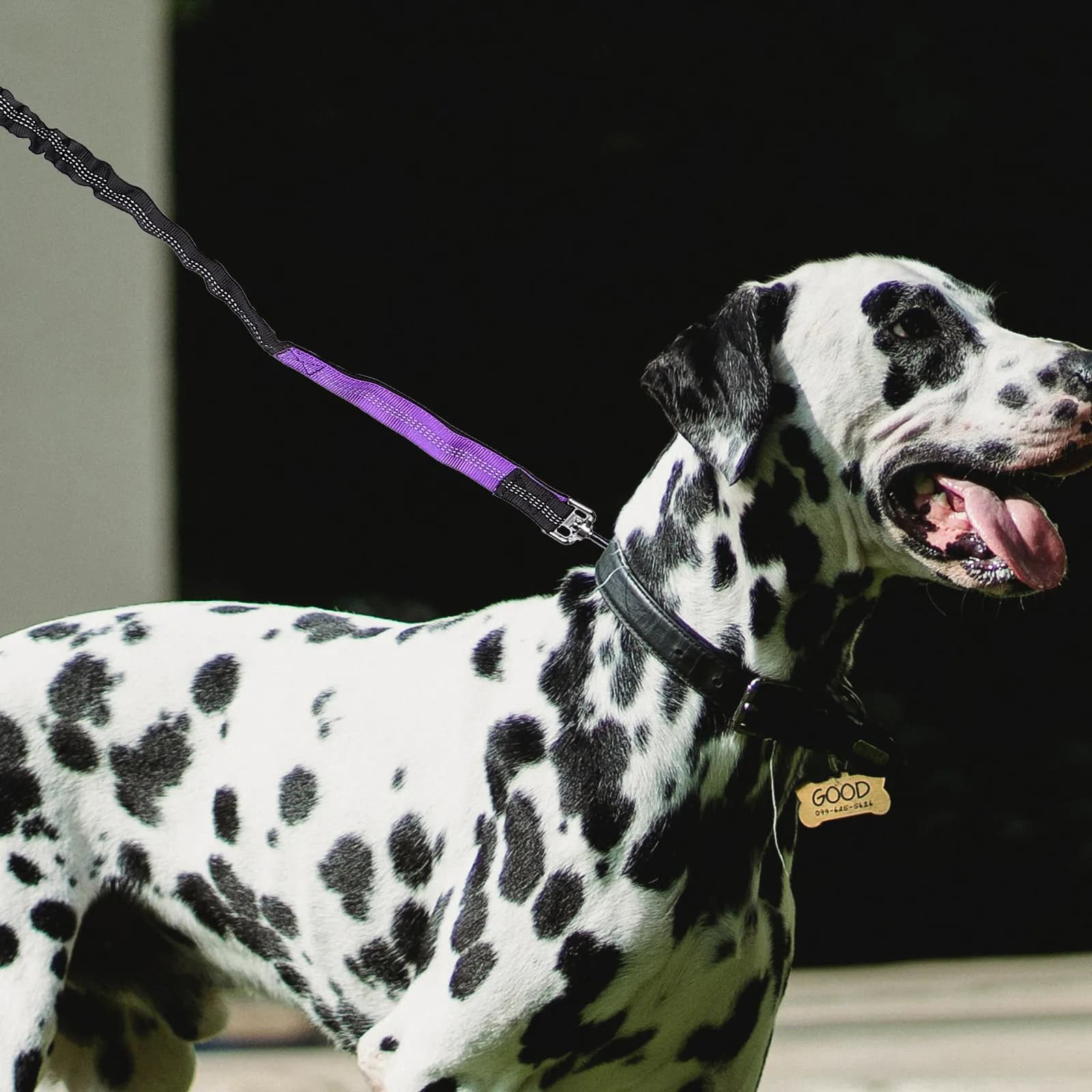 Guinzaglio per Cani in Nylon, Riflettente, Cintura da Passeggio a Mani Libere, Guinzaglio da Corsa per Addestramento e Sicurezza all'Aperto