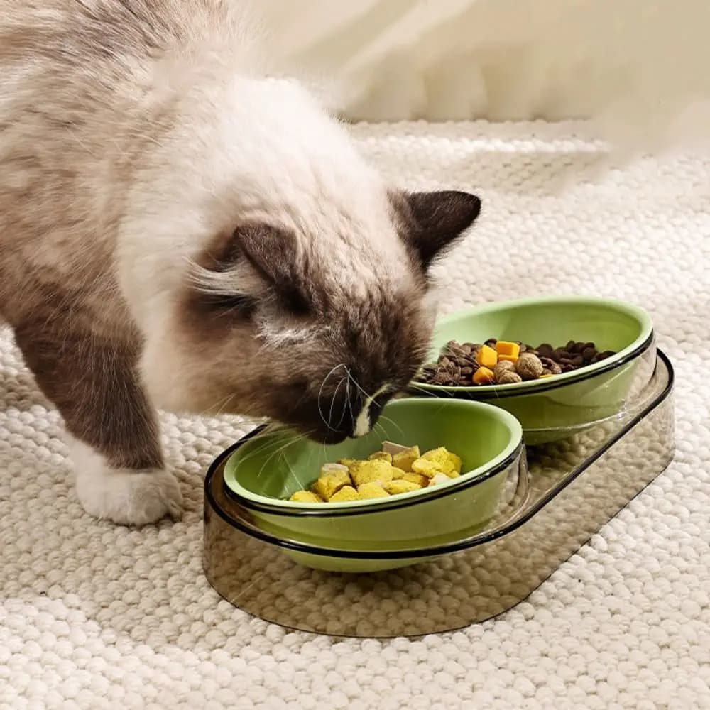 Ciotole doppie per gatti rialzate con inclinazione da 15 gradi Ciotole per cibo e acqua in plastica antispruzzo per animali domestici Ciotola per gatti con bocca obliqua antiscivolo