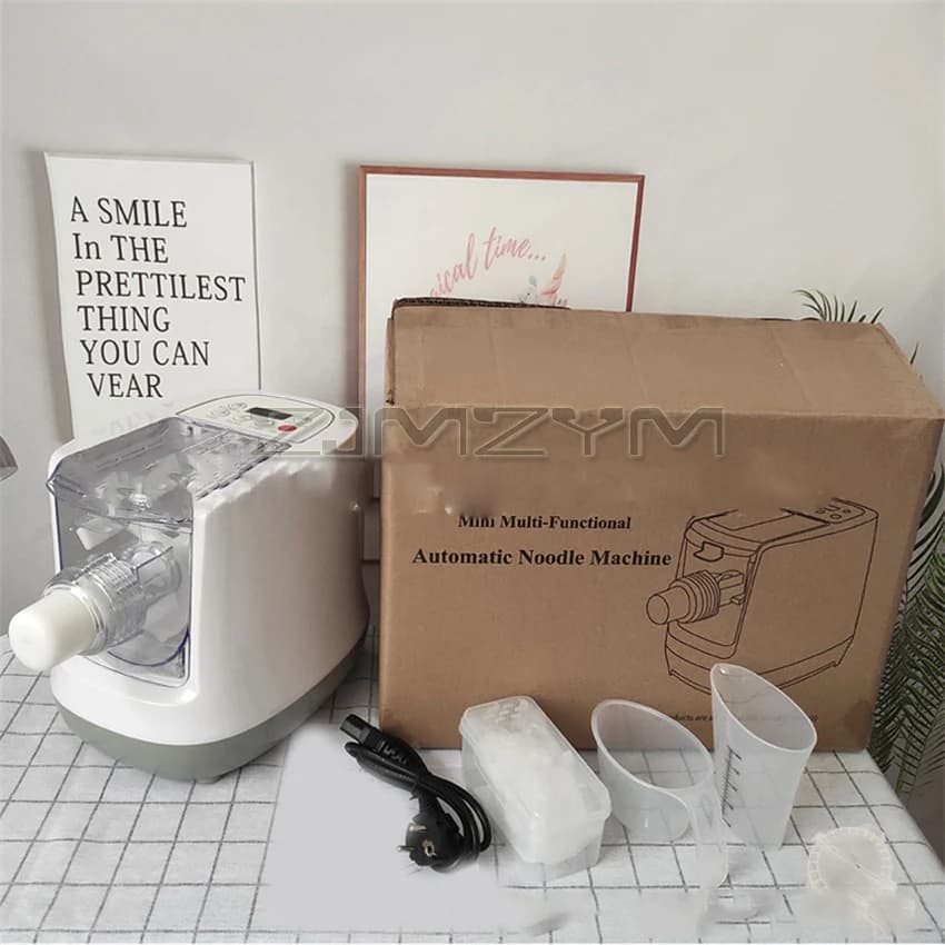 Macchina per noodle elettrica Macchina per pasta automatica Macchina per noodle Impastare la pasta Premendo macchina per fare noodle freschi 220V/110V