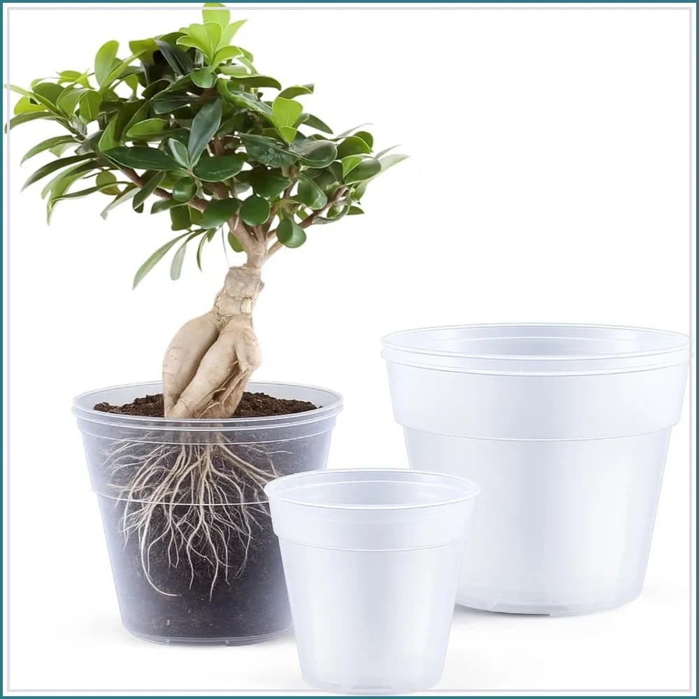 6 Pcs 8/10/12 Inch Clear Nursery Pots with Drainage Holes, Flexible Plastic Planters for Indoor Plants, Succulents