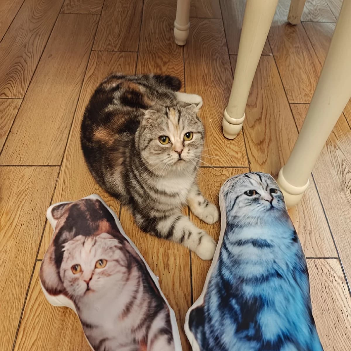 Un cuscino con foto di animali domestici personalizzato e personalizzabile, adatto a varie vacanze come Halloween, Ringraziamento, Pasqua