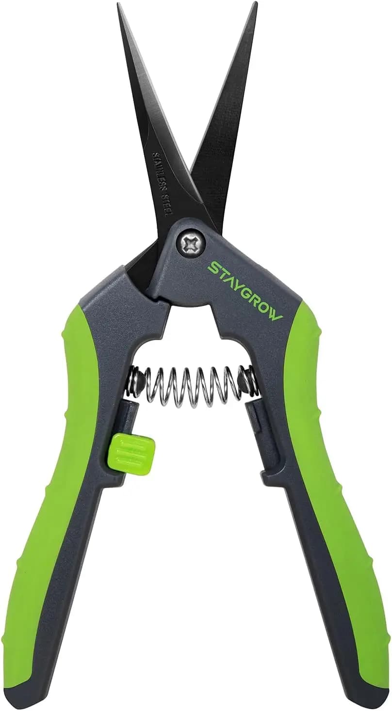 Straight Power Scissors 6,5 Inches, Garden Scissors Stainless Steel Sharpened for Precise Cutting of Plants and Bonsai (Pack of 1)