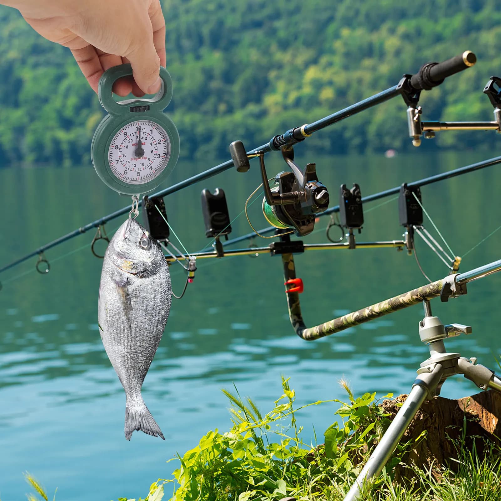Bilancia Digitale Portatile Piccola per Bagagli, Viaggi, Pesca, Campeggio, Cucina, Pesatura Alimenti, Leggera e Precisa