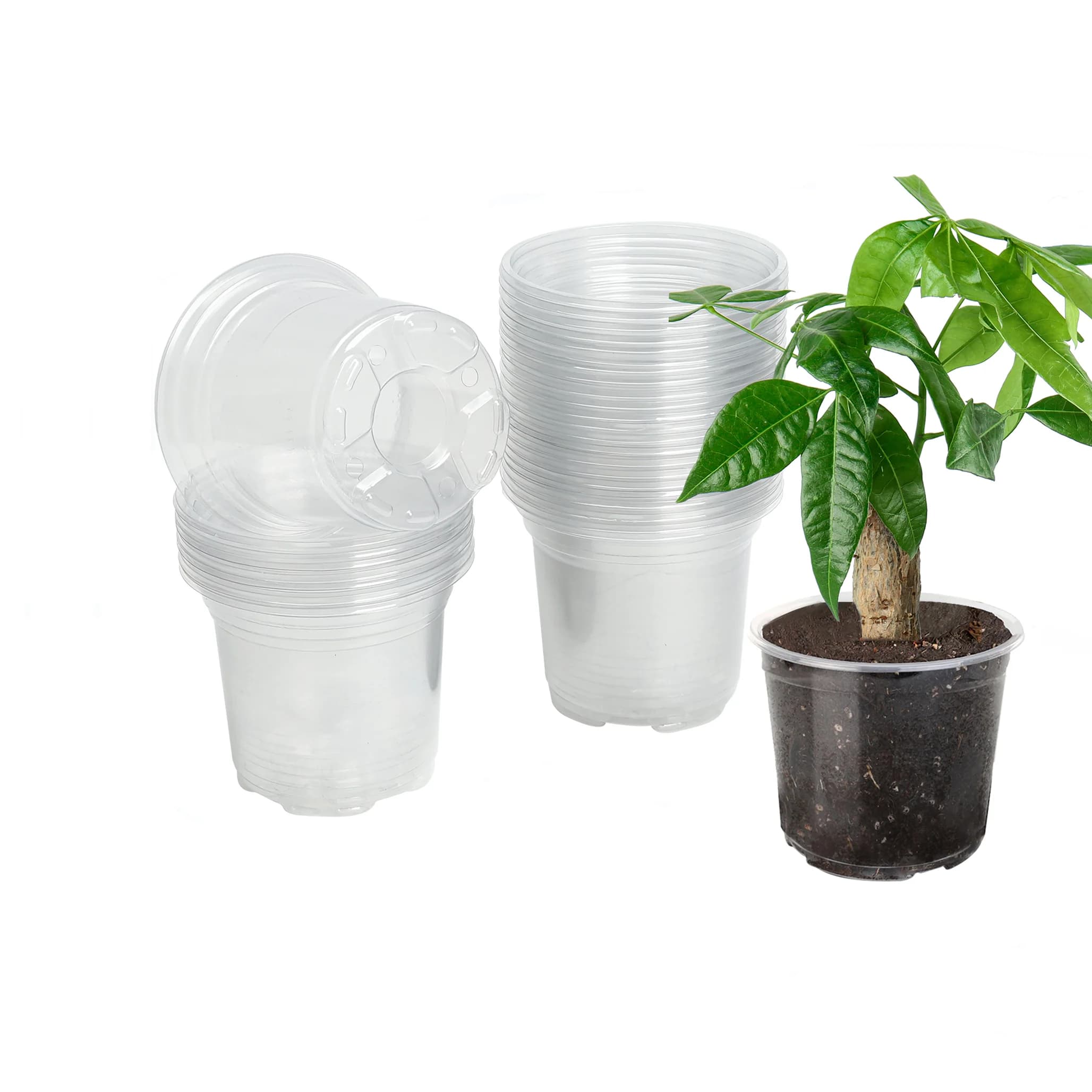 30 3.5-inch clear plastic planters with humidity domes and drainage holes for indoor succulents, seed starting, seedlings