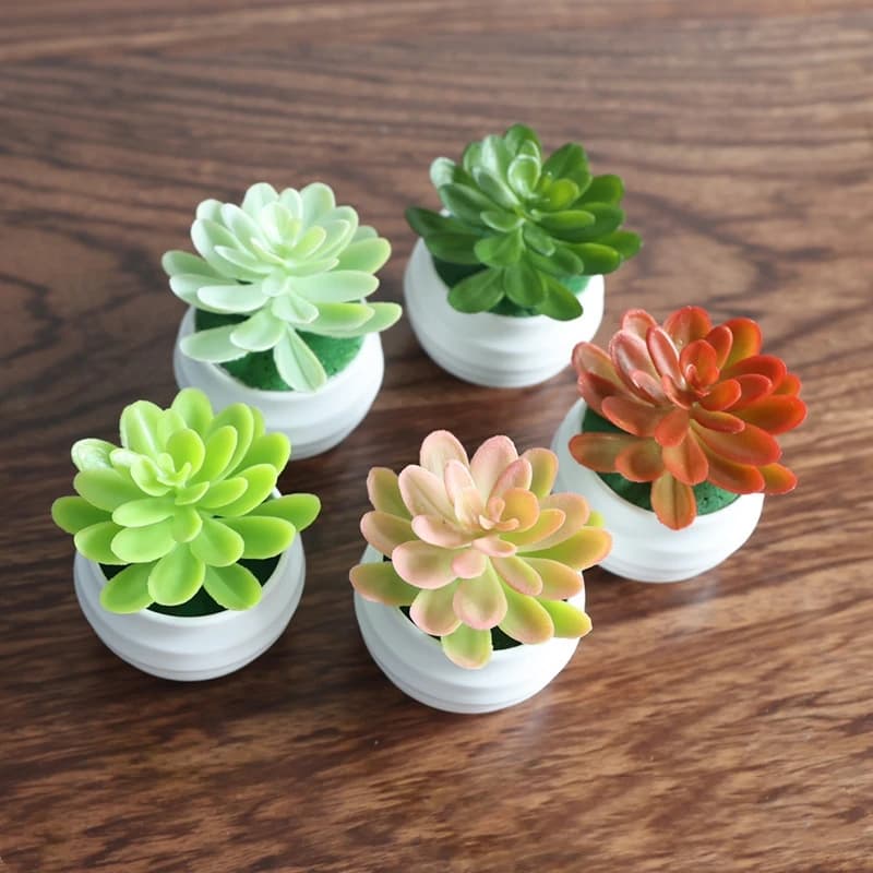 1 pcs Mini Fleshiness Bonsai Landscape Artificial Cactus Plant Decorative flowers for table decoration Fat plants Small trees