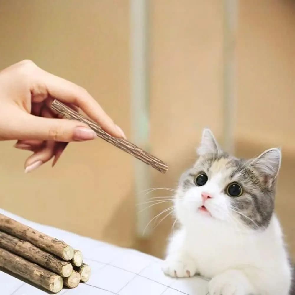 Bastoncini Naturali di Erba Gatta e Silvervine, Giocattoli da Masticare per Gatti e Gattini, Allevia Ansia, Cura Dentale, Regalo per Gatti da Interno