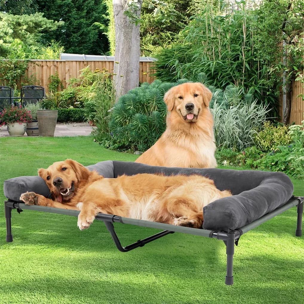 BINGOPAW Cuccia Rialzata per Cani da Esterno con Rinfrescamento, Lettino per Animali Domestici con Cuscino Rimovibile in Peluche e Rete Traspirante per Campeggio