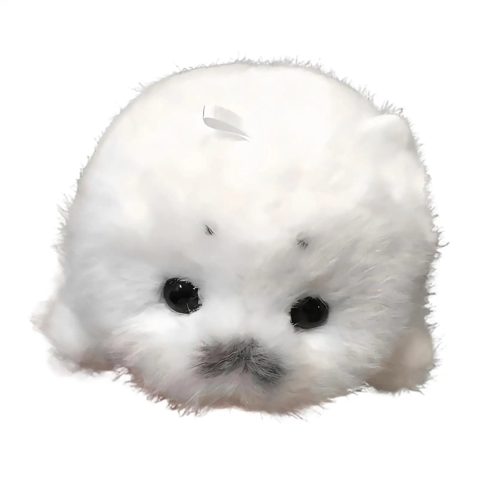 Ciondoli a forma di focalella di peluche, carini, piccoli, morbidi e realistici, animali marini di peluche per fidanzate, bambini, donne, ragazzi, ragazze, giovani, adolescenti