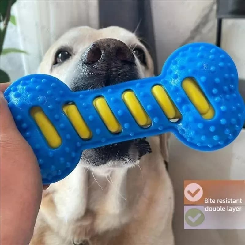 Squeaky Bone Dog Chew Toy, Bite-Resistant Interactive Puppy Training Toy, Teeth Cleaning Massage Toothbrush Dog Pet Supplies