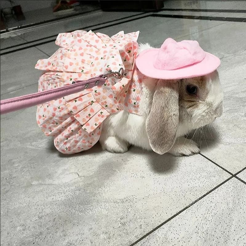 Set di vestiti e guinzagli per conigli in morbido cotone per conigli, conigli, vestiti estivi per piccoli animali, forniture per passeggiate per animali domestici all'aperto