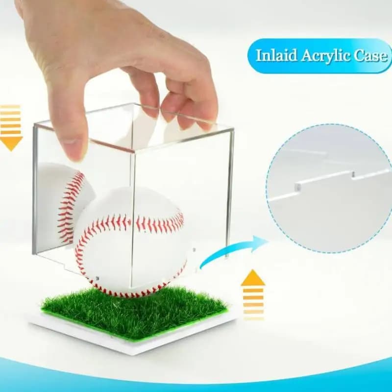 Baseball Display Case Clear Dustproof Elegant Golf Ball Display Case Golf Ball Storage Box Baseball Holder for Living Room Home