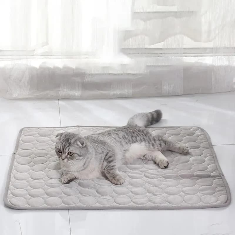 Tappetini Refrigeranti per Animali Domestici, Cuccia Estiva per Cani e Gatti, Cuscino Rinfrescante per Divano, Coperta Rinfrescante Durevole per Cani di Piccola Taglia