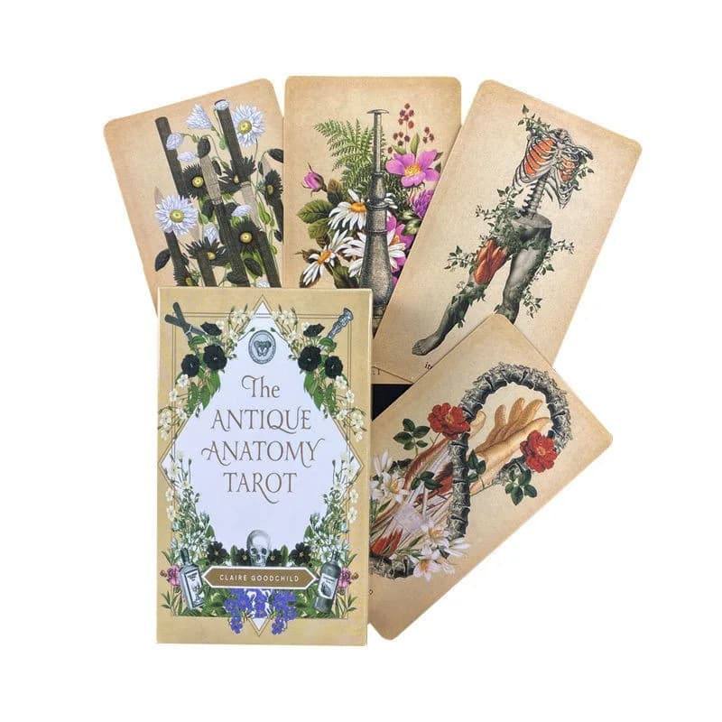 The Antique Anatomy tarocchi Deck Full English Oracle divinazione Fate Family Party gioco da tavolo
