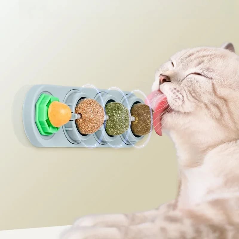 4 in 1 Giocattolo con erba gatta Divertente leccabile Snack per gatti Palline con erba gatta Gattino che gioca da masticare Pulizia dei denti Giocattolo Promuovere la digestione Giocattoli con erba gatta