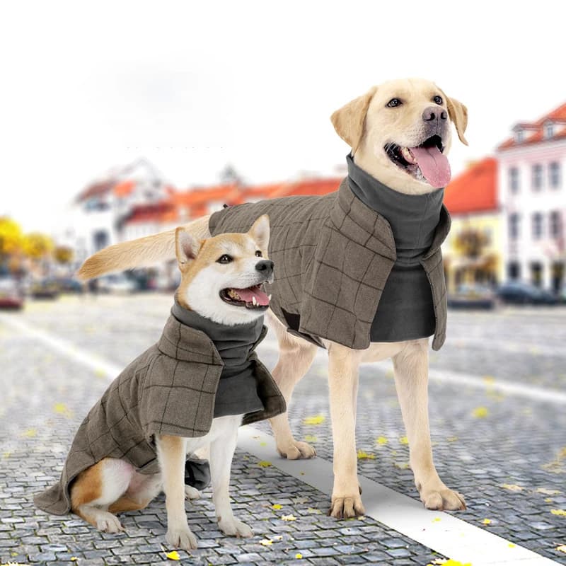 Vestiti per cani di design di lusso in stile britannico addensato Giacca per cani scozzese alla moda a collo alto con gancio per guinzaglio Abiti per cani di grandi dimensioni