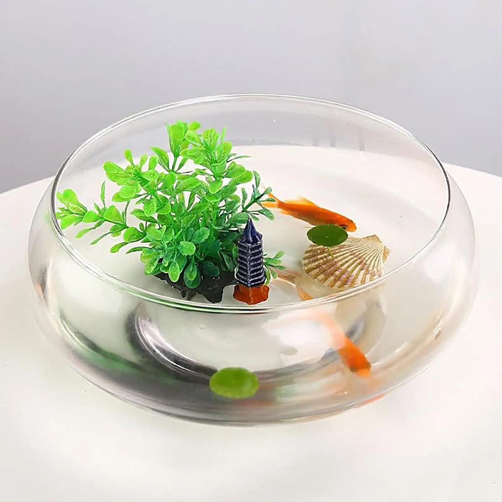 25cm Glass Hydroponic Growing Bowl Deep Round Wide Round Plants Large Fish Jar Bonsai for Indoor Flower Fat Plants Lotus Plant Tool