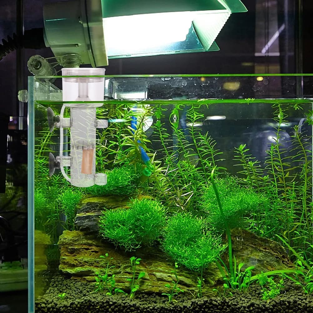 Set di 3 Pietre in Legno per Acquario, Diffusore di Ossigeno a Bolle Fini, Strumento per Skimmer Proteico, Pietra Naturale per Vasca dei Pesci