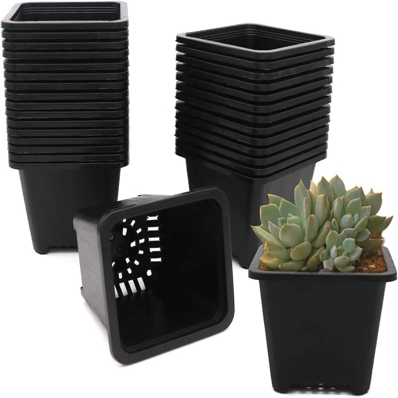 25 square vases for nursery vessels for the departure of semi containers for plants of plastic cups for plants pots for square black plants