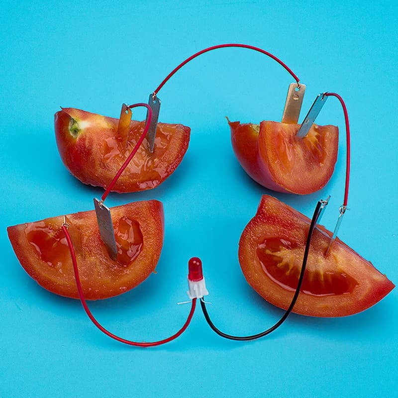 Hot Bio Energy Science Kit fornitura di frutta di patate esperimenti di elettricità bambini bambini studente apprendimento scienza giocattolo educativo