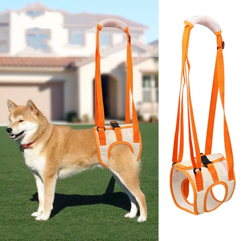 Supporto per imbracatura Gamba posteriore Cane che cammina Cintura ausiliaria per animali domestici Cintura di sollevamento per cani Imbracatura di supporto per sollevamento animali domestici