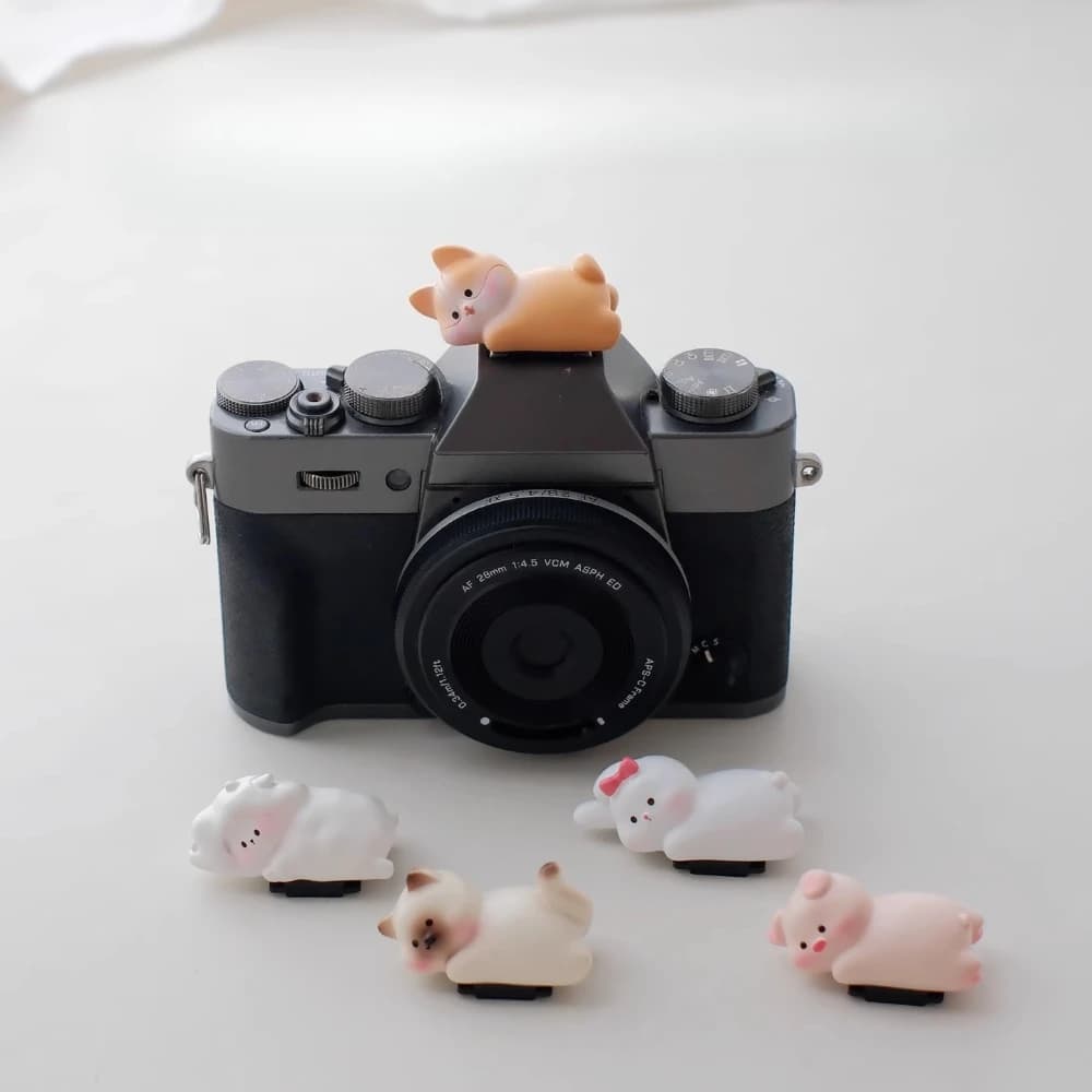 Copri Hotshoe in Silicone a Forma di Animale, Copriobiettivo, Copri Webcam, Accessori per Fotocamere, Accessorio Personalizzato per Canon R10