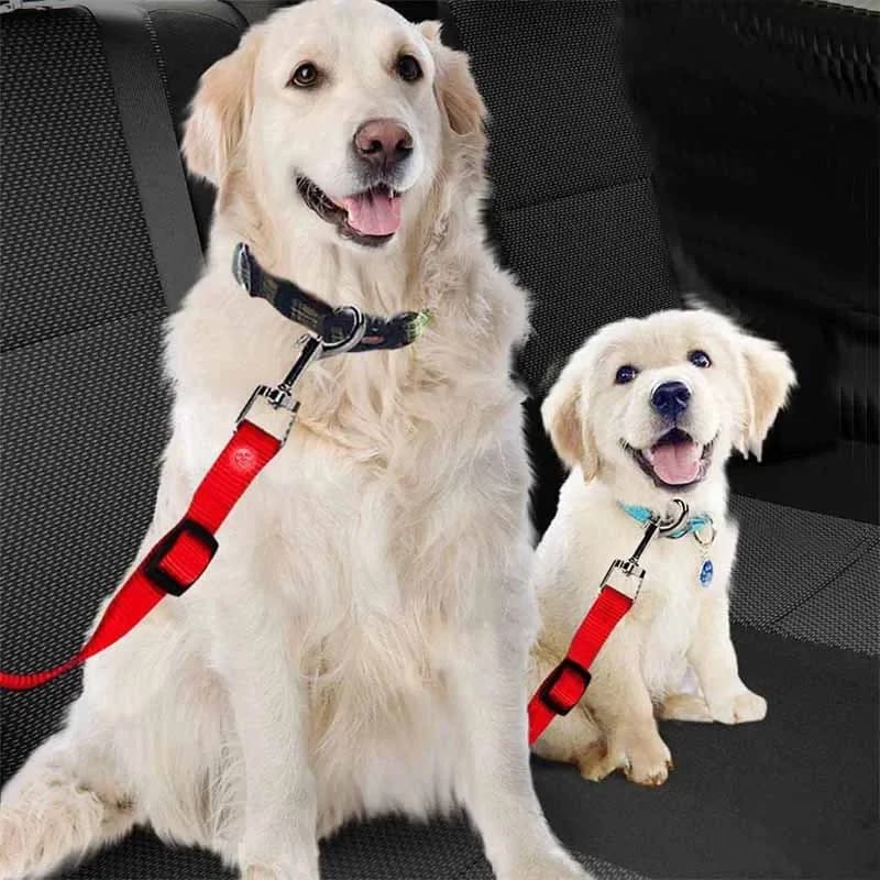 Cintura di Sicurezza per Cani, Imbracatura Regolabile in Nylon Riflettente, Cinghia Elastica per Auto, Accessori da Viaggio per Animali Domestici