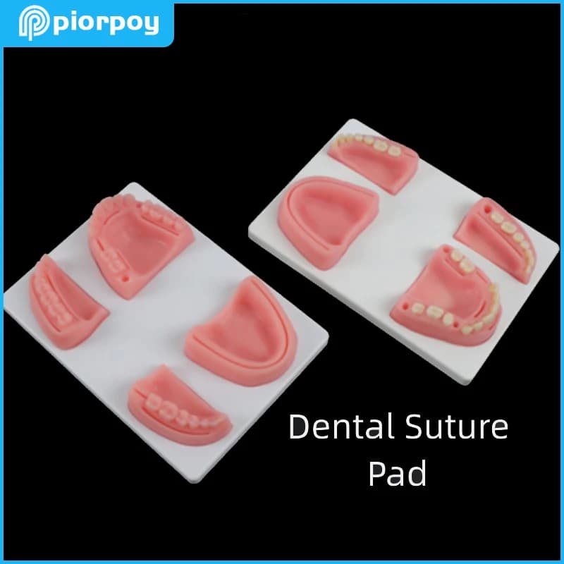 Insegnamento dentale modello di denti sutura Pad Practice Mold Soft Gum Module formazione orale odontoiatria dimostrazione prodotti per dentisti